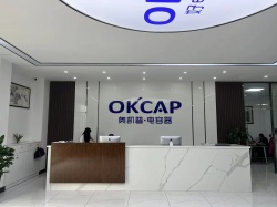 祝深圳奧凱普電容器有限公司通過SGS-PHILIPS飛利浦供應鏈評審驗廠